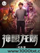 神眼龙婿图片