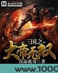三国之大帝无双图片