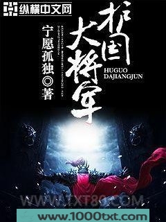 护国大将军图片