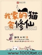 我家的猫会修仙图片
