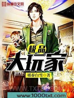 极品大玩家图片