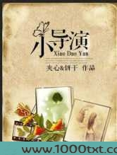 小导演图片