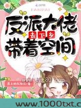 反派大佬带着空间去下乡图片