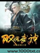 双魂武神