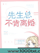 先生总不肯离婚图片