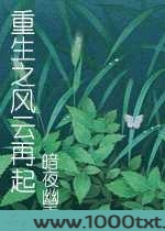 重生之风云再起图片