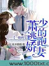 一胎两宝：萧少的逃跑娇妻图片