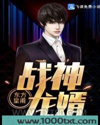 战神龙婿图片