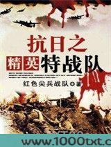 抗日之精英特战队图片