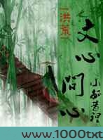 文心,问心图片