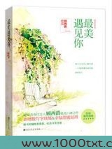 最美遇见你(出书版)图片