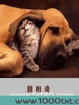 囍相逢图片