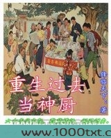 重生过去当神厨图片