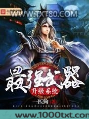 最强武器升级系统图片