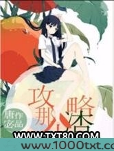 攻略那个渣图片
