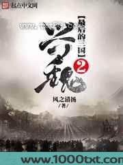 最后的三国2兴魏