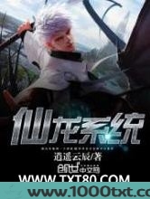 仙龙系统图片