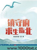 镇守府求生指北图片
