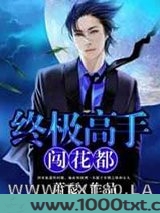 终极高手闯花都图片