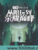 王者：从陪玩到荣耀巅峰图片