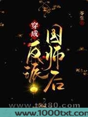 穿成反派国师后图片