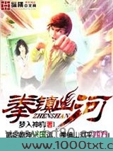 龙蛇演义2之拳镇山河图片