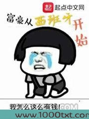 富豪从西班牙开始图片