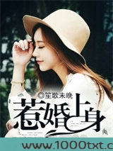 惹婚上身图片