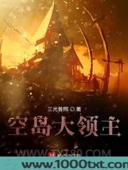 空岛大领主图片