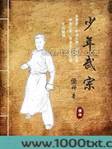 少年武宗图片
