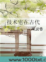 技术宅在古代图片
