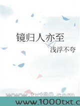 镜归人亦至