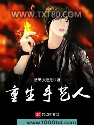 重生手艺人图片