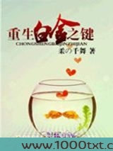 重生白金之键图片
