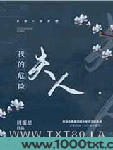 我的危险夫人图片