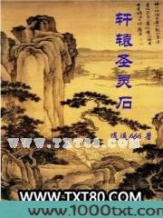 轩辕圣灵石图片