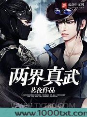 两界真武图片