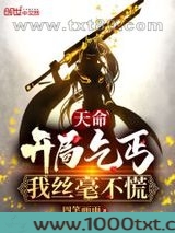 天命:开局乞丐,我丝毫不慌图片