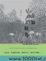有如候鸟图片