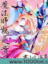 魔法师就是贵族图片