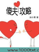 傻夫攻略图片
