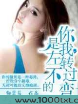 你是我，左转不过的弯