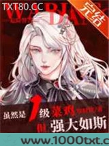 虽然是1级菜鸡，但强大如斯[无限]