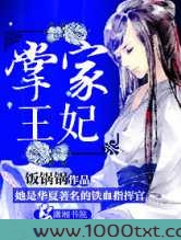 掌家王妃图片