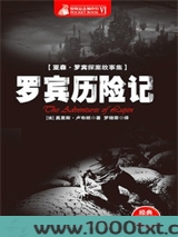 罗宾历险记图片