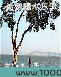 馥水东流图片