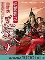杨家将之风流八少