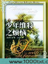 少年维特之烦恼
