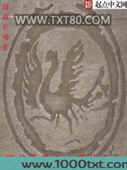 穿越美漫之山寨神盾局