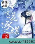 飞花逐蝶图片
